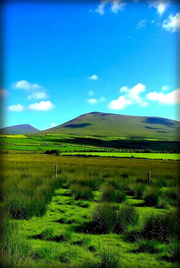 Emerald Green Landscape
