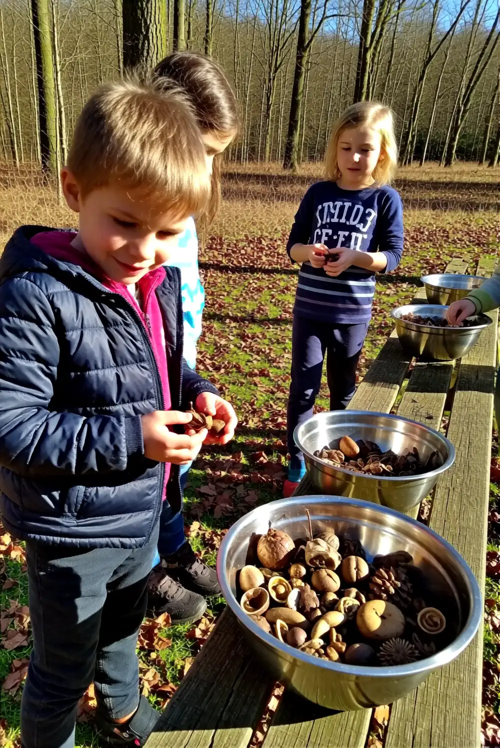 Nature Walk Treasure Bowls