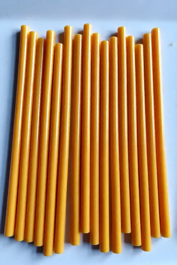 Cheese Sticks: Protein Power