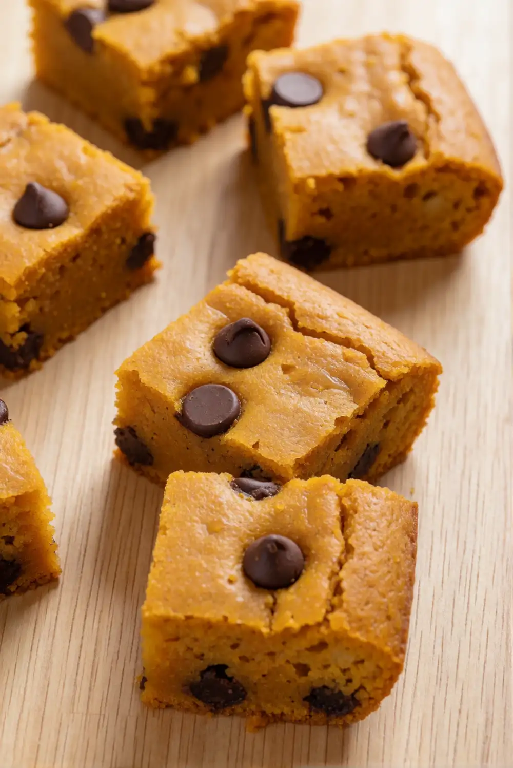 Chocolate Chip Pumpkin Bars