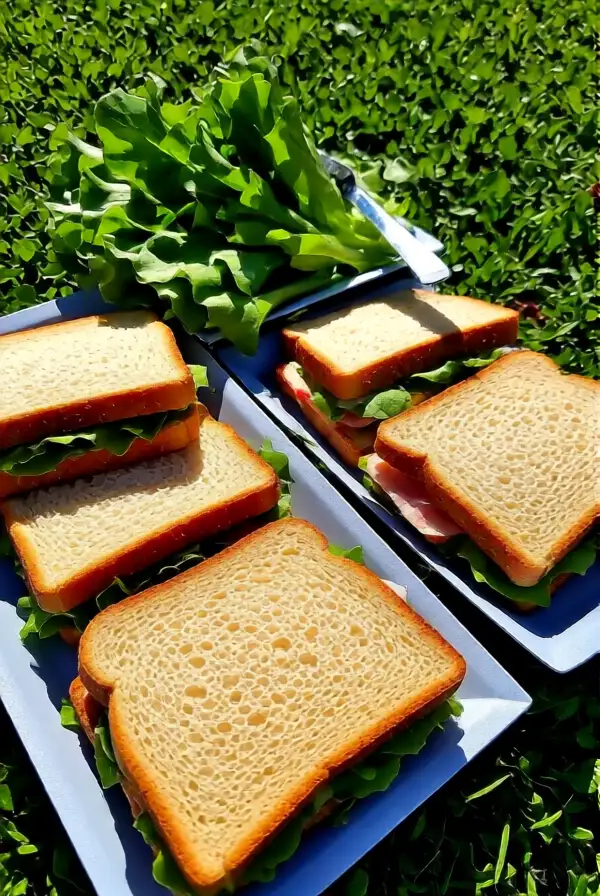 Classic Sandwiches