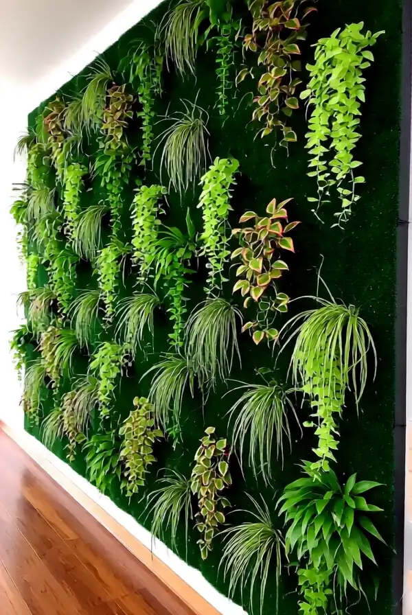 Creating a Plant Wall Installation