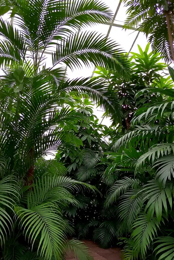 Creating an Indoor Jungle Atmosphere