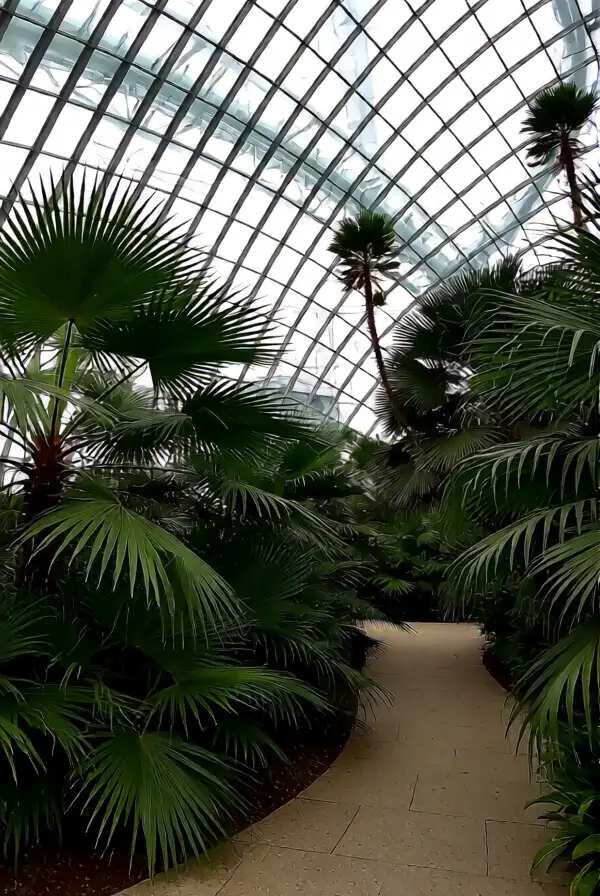 Creating Outdoor Inspirations Indoors