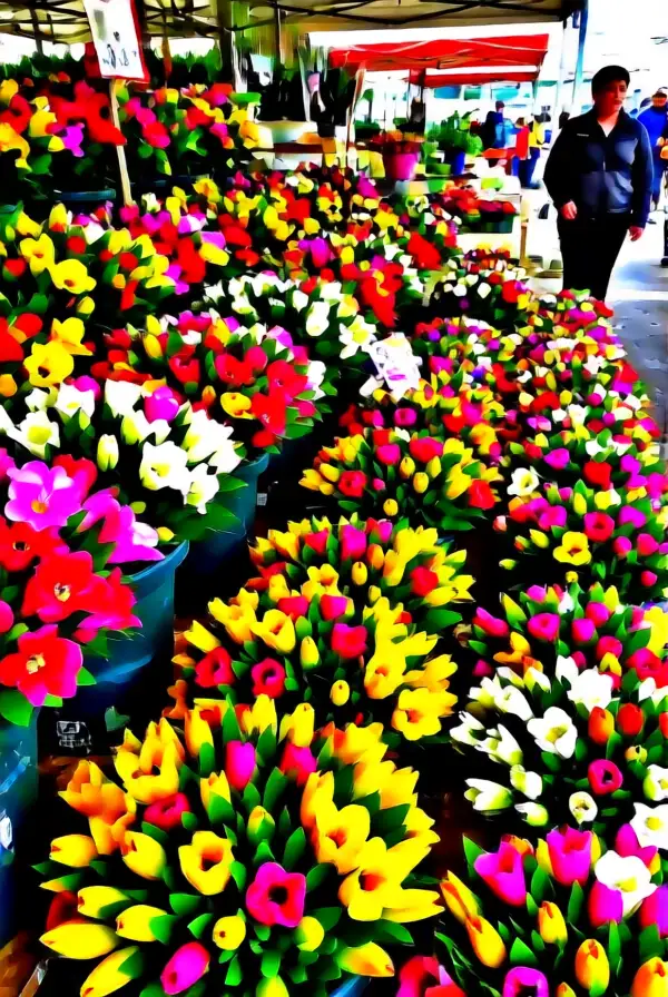 Embrace Local and Seasonal Flowers