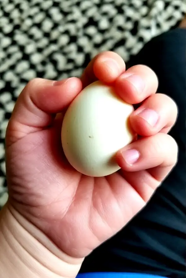 Encourages Fine Motor Skills