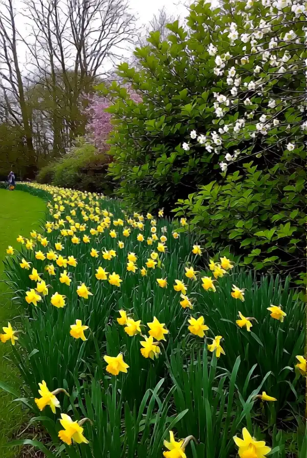 End with a Flourishing Garden