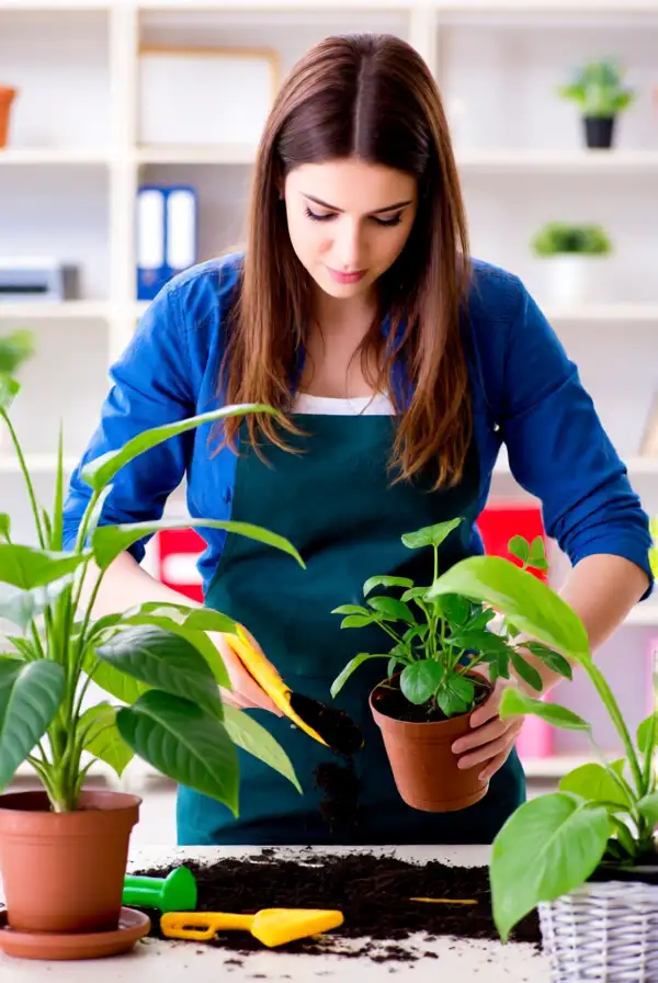 Exploring Plant Care Secrets