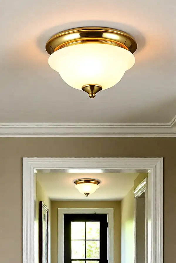 Flush Mount Ceiling Lights