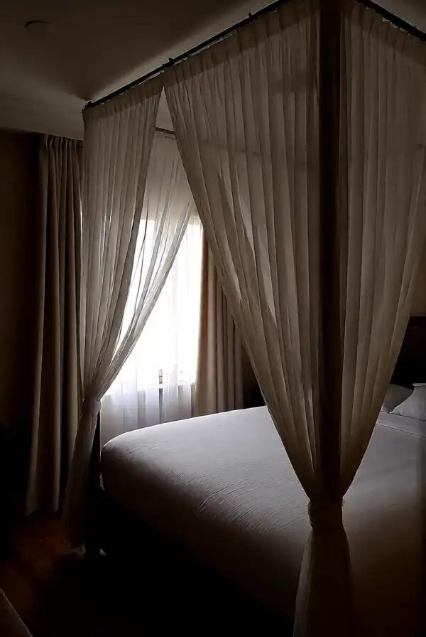 Focus on Window Treatments