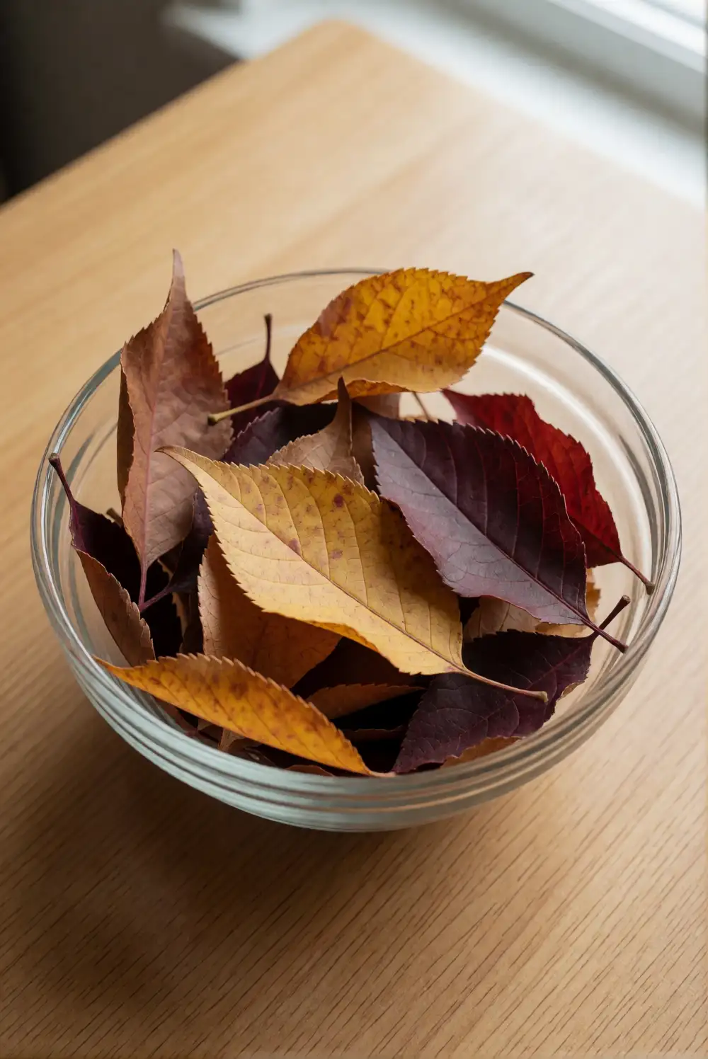 Gather Leaves in a Glass Bowl Display