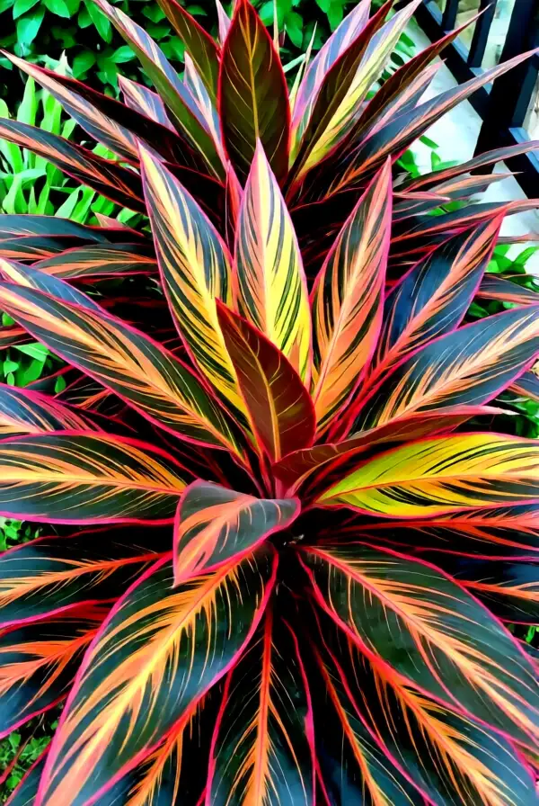 Incorporating Colorful Foliage