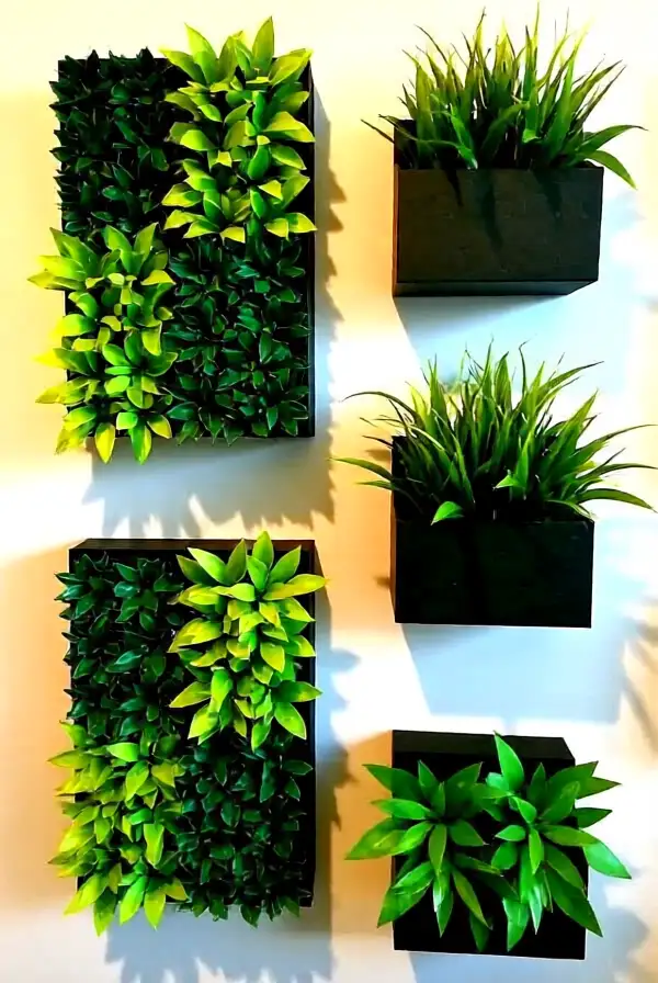 Incorporating Living Plants Into Your Wall Decor
