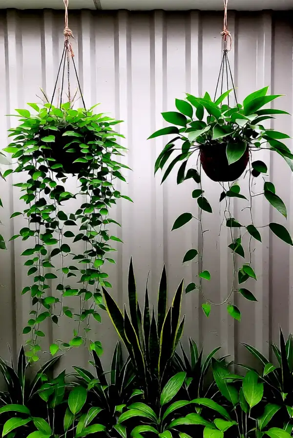 Incorporating Nature into Your Decor