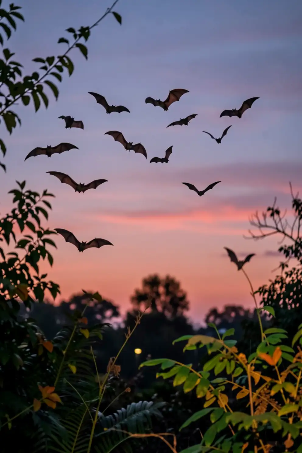 Inspiration from Nature