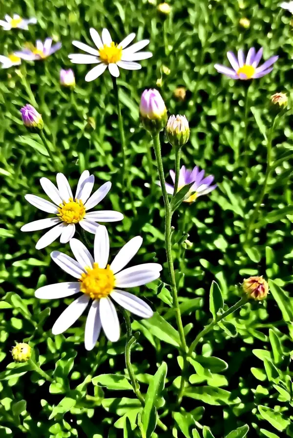 Inspiration from Nature