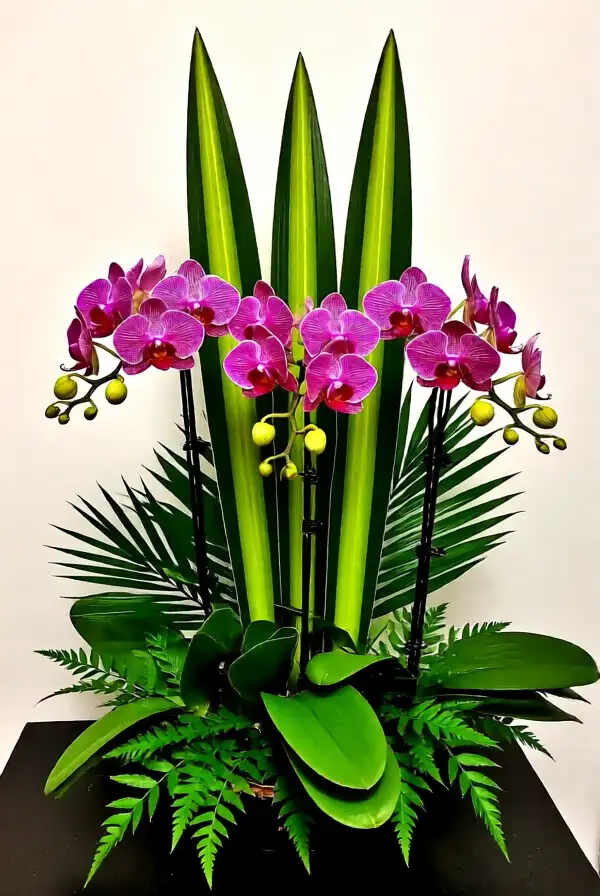 Luxurious Orchid Arrangements
