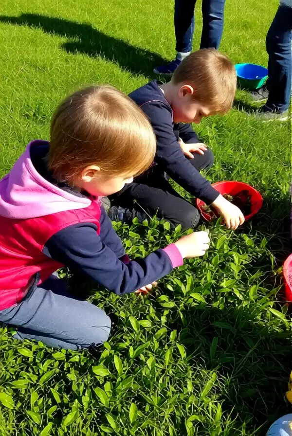 Outdoor Educational Activities for Young Minds