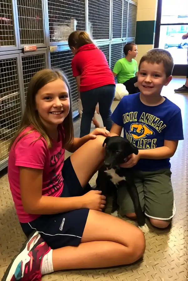 Pet Adoption or Visit