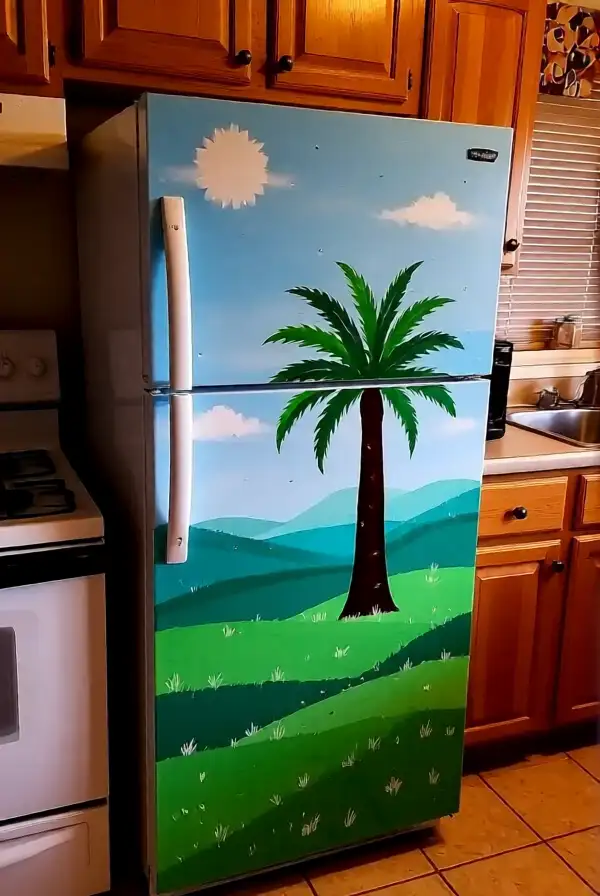 Refurbish Appliances