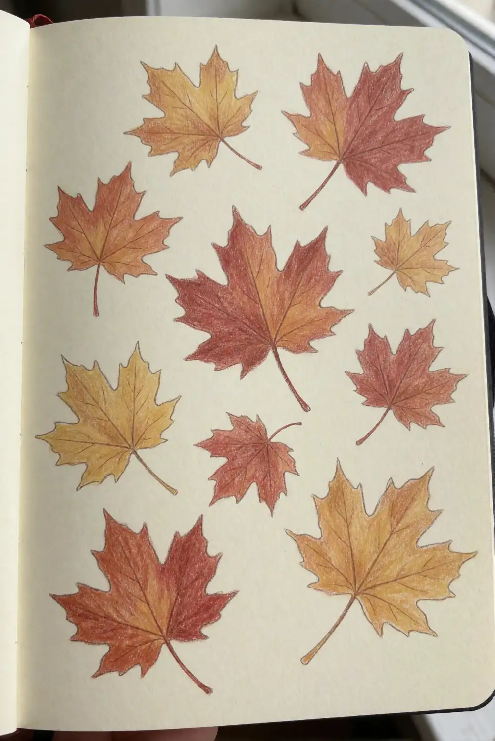 Scattered Maple Leaves in Warm Autumn Colors