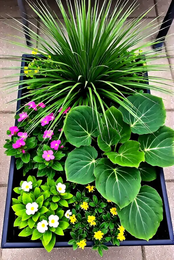 Seasonal Decor with Large Plants