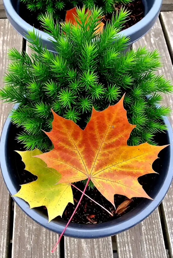 Seasonal Plant Decor Changes