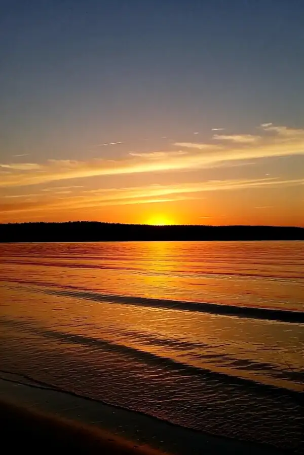 Selecting the Perfect Summer Wallpaper