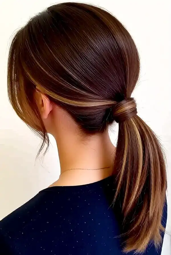 Sleek Low Ponytail